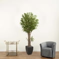 thumbnail image 3 of Nearly Natural 6.5' Olive Artificial Tree in Black Planter, Green, 3 of 4