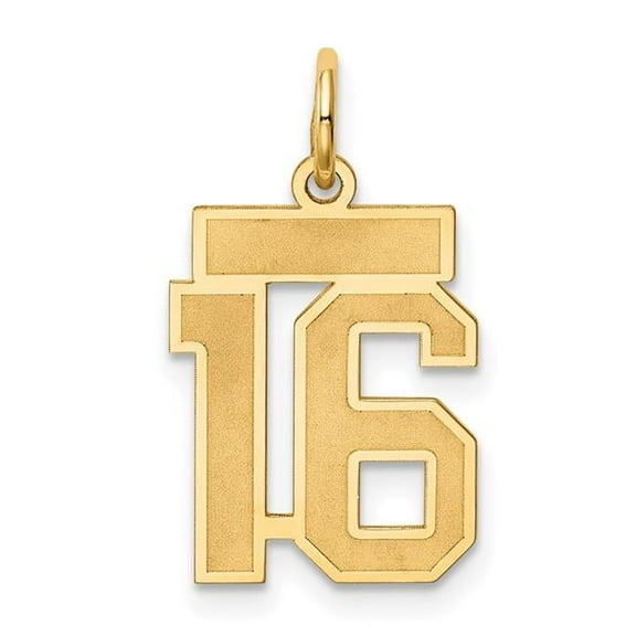 Finest Gold 14K Yellow Gold Small Satin Number 16 Charm