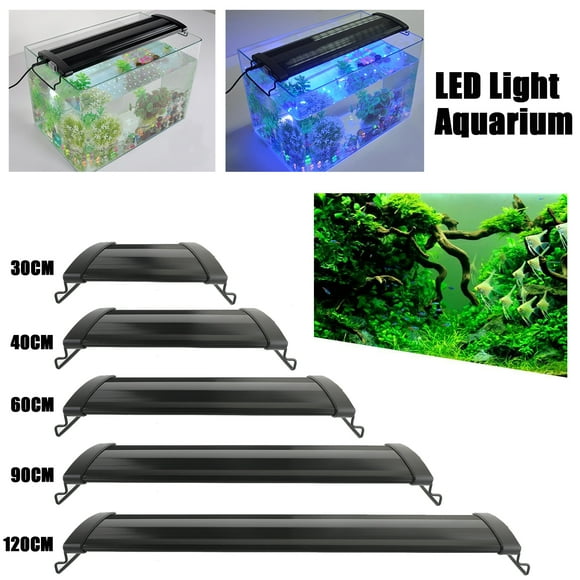 Aquarium Motion Lamp