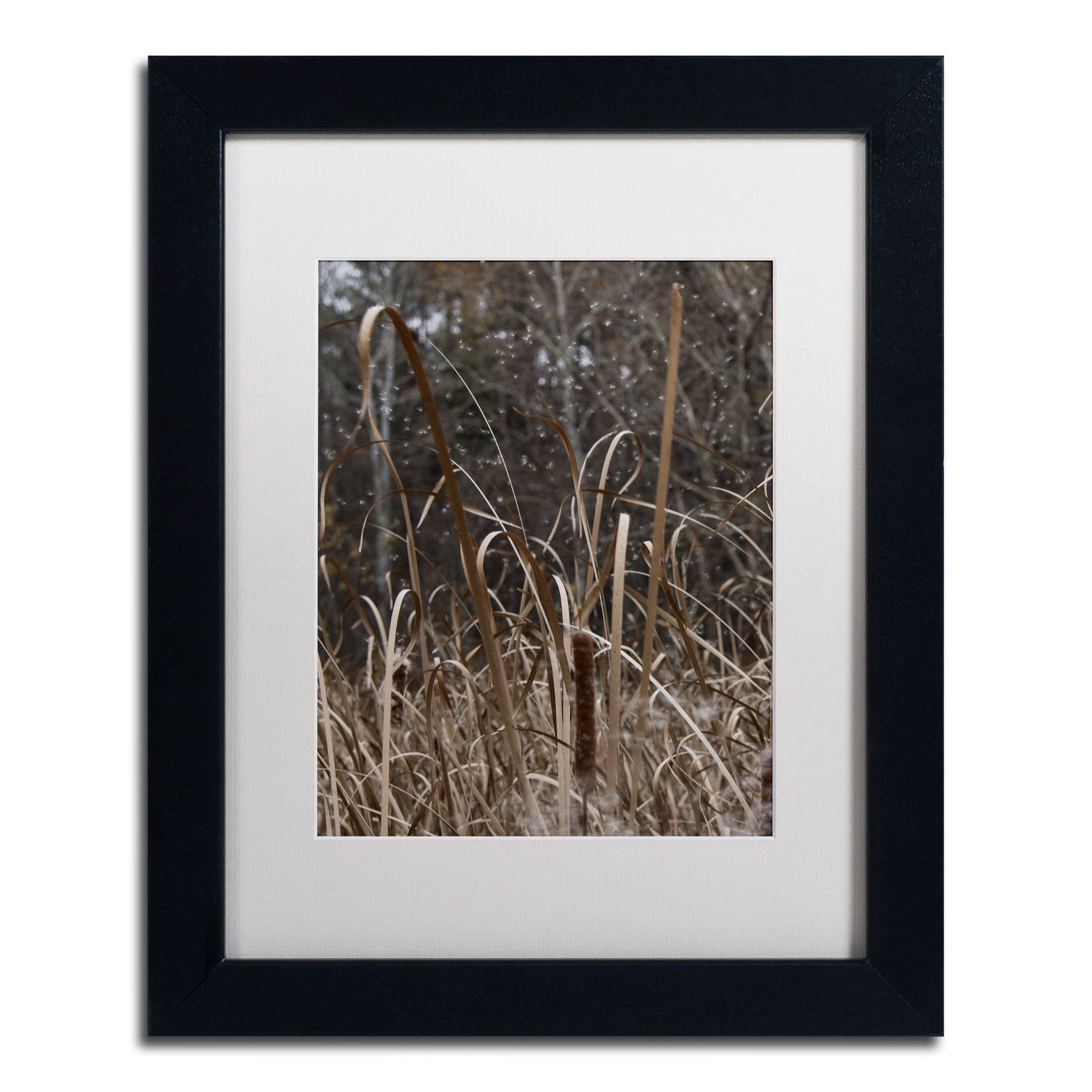 Trademark Fine Art "Cattail Seeds in Flight" Canvas Art by Kurt Shaffer, White Matte, Black Frame
