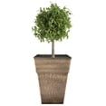 thumbnail image 4 of 22 Inch Avino Tall Square Planter - Decorative Indoor Outdoor Plant Pot for Front Porch, Deck, Patio and Home, Celtic Bronze, 4 of 7