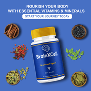 (3 Pack) BrainXCell Premium Nootropic Supplement, Brain X Cell (180 Capsules)