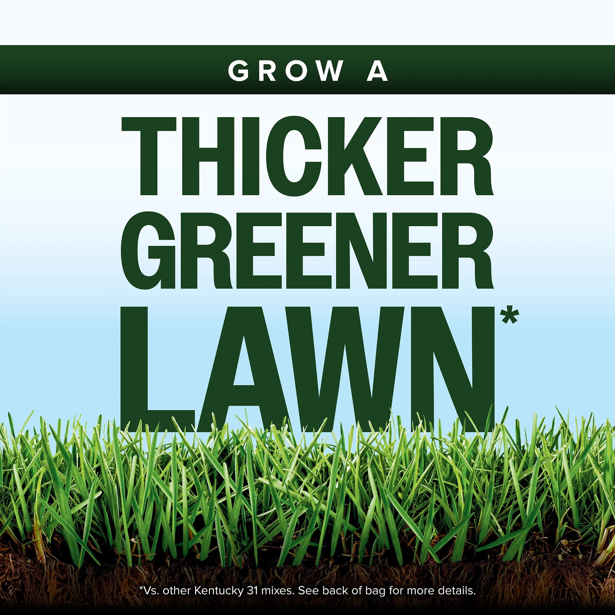 Scotts® Kentucky 31 Grass Seed Mix, For New Lawns or Overseeding, 40 lbs.