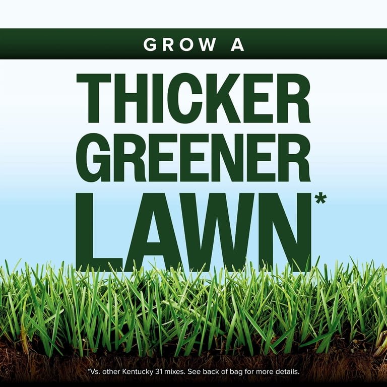 Scotts® Kentucky 31 Grass Seed Mix, For New Lawns or Overseeding