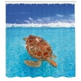 thumbnail image 3 of Ambesonne Turtle Shower Curtain, Chelonia Water Surface, 69"Wx84"L, Violet Blue Pale Brown, 3 of 3
