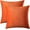 Burnt Orange, variant on Cterwk Pack of 2 Velvet Decorative Throw Pillow Covers Soft Solid Square Cushion Cover Pillow for Living Room, Bedroom, Office, 16 x 16 inches