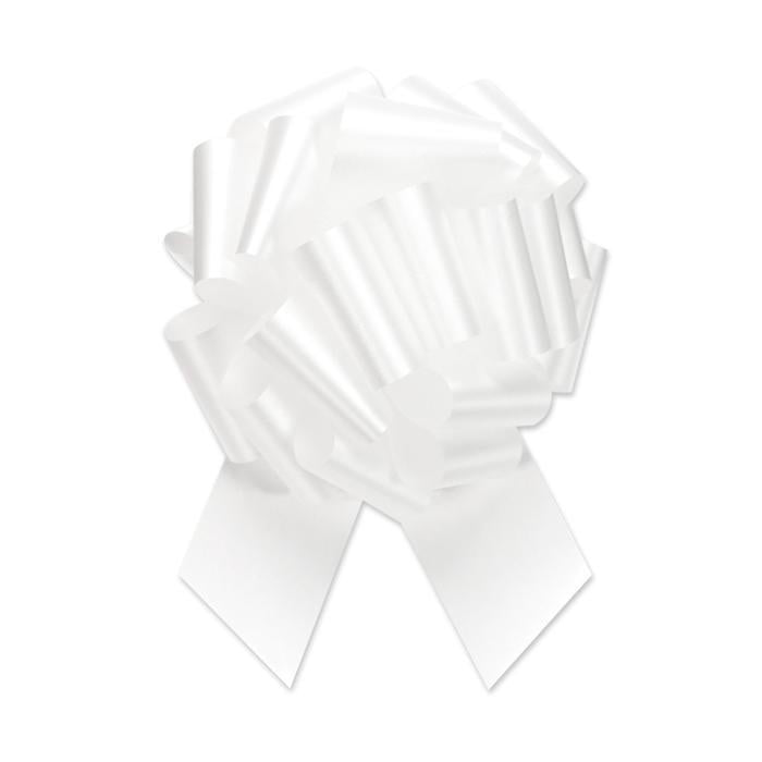 Ensemble de 12 50 Pcs - 5.5"D Ruban Blanc à Arc-en-Ciel