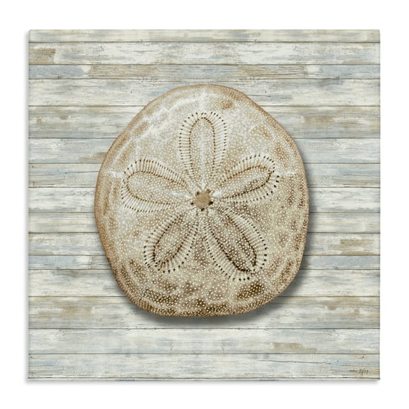 Stupell Industries Sand Dollar On Shiplap Canvas Wall Art design by Amber Sterling, 17 x 17