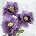 thumbnail image 2 of Stevens, Jesse 20x20 Black Ornate Wood Framed with Double Matting Museum Art Print Titled - Purple Bloom I, 2 of 4