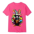 thumbnail image 4 of Hihipz Big Boys Easter Tee Tops Short Sleeve Colorful Graphic Crew Neck Tee Tops Soft Casual Stylish Tshirt,Sizes 8-9, 4 of 4