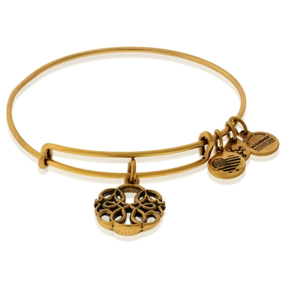 Alex and Ani Path Of Life Charm Bangle