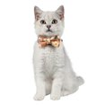 thumbnail image 5 of Collares ajustables CHAO para gatos y perros pequeños a cuadros con pajarita y cascabel, 5 of 5