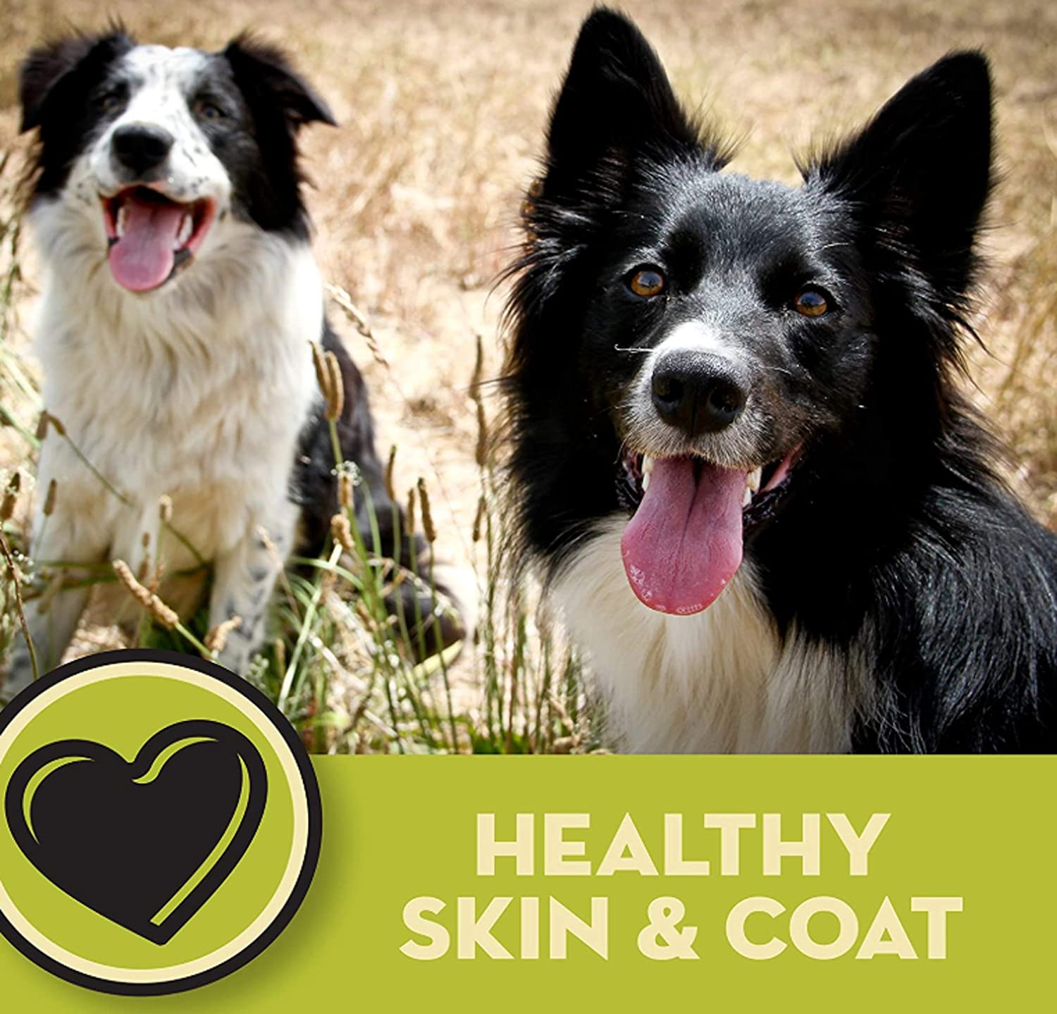 AvoDerm Senior Health Lamb Meal Grain Free Dry Dog Food 24LB