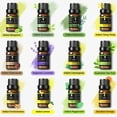 thumbnail image 4 of KRIAA Goodness Top 12 Essential Oils Set, 12 x 10ml, 100% Pure and Natural, 4 of 7
