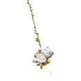 thumbnail image 2 of Almencla Swinging Figurine Ornament Animal Garden Statue for Patio Entrance Courtyard Cat, 2 of 8