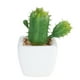 thumbnail image 1 of Maceta suculenta artificial moderna en forma de cubo, verde, minimaceta para decoración de interior y exterior (cactus con espinas), 1 of 5