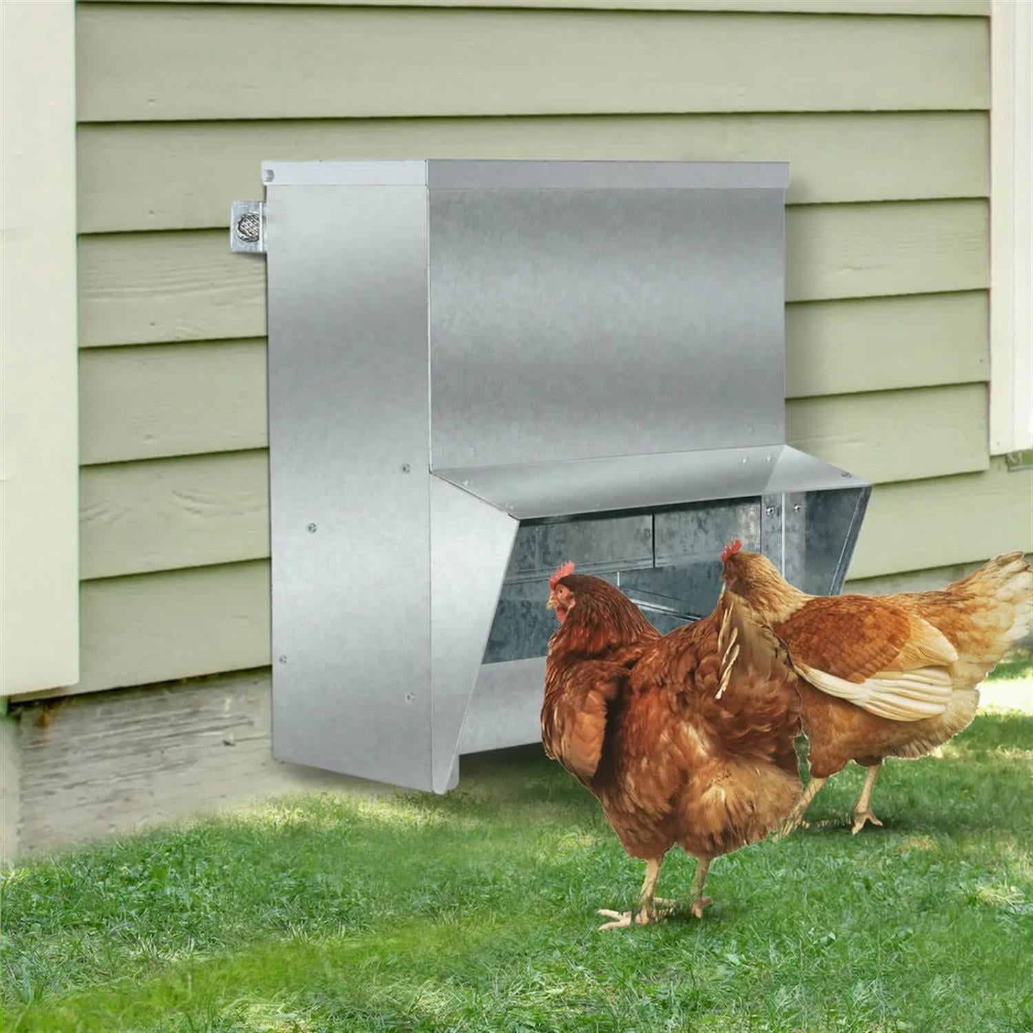 Kadyn Outdoor Automatic Metal Chicken Feeder, Poultry Feeder with Protective Lid for Chickens, Bantams, Pheasants, Holds 13 L of Feed, Silver