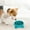 Blue, variant on Zzbeans Slow Feeder Dog Bowl, Spill Proof Slow Food Bowl for Dogs, Anti Slip Pet Feeding Bowl for Puppy Small Medium Large Dogs, Green