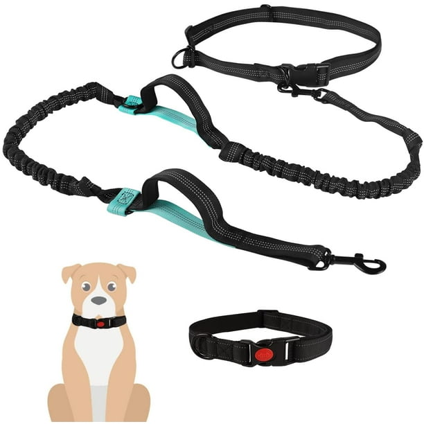 Dog collar with clearance grab handle