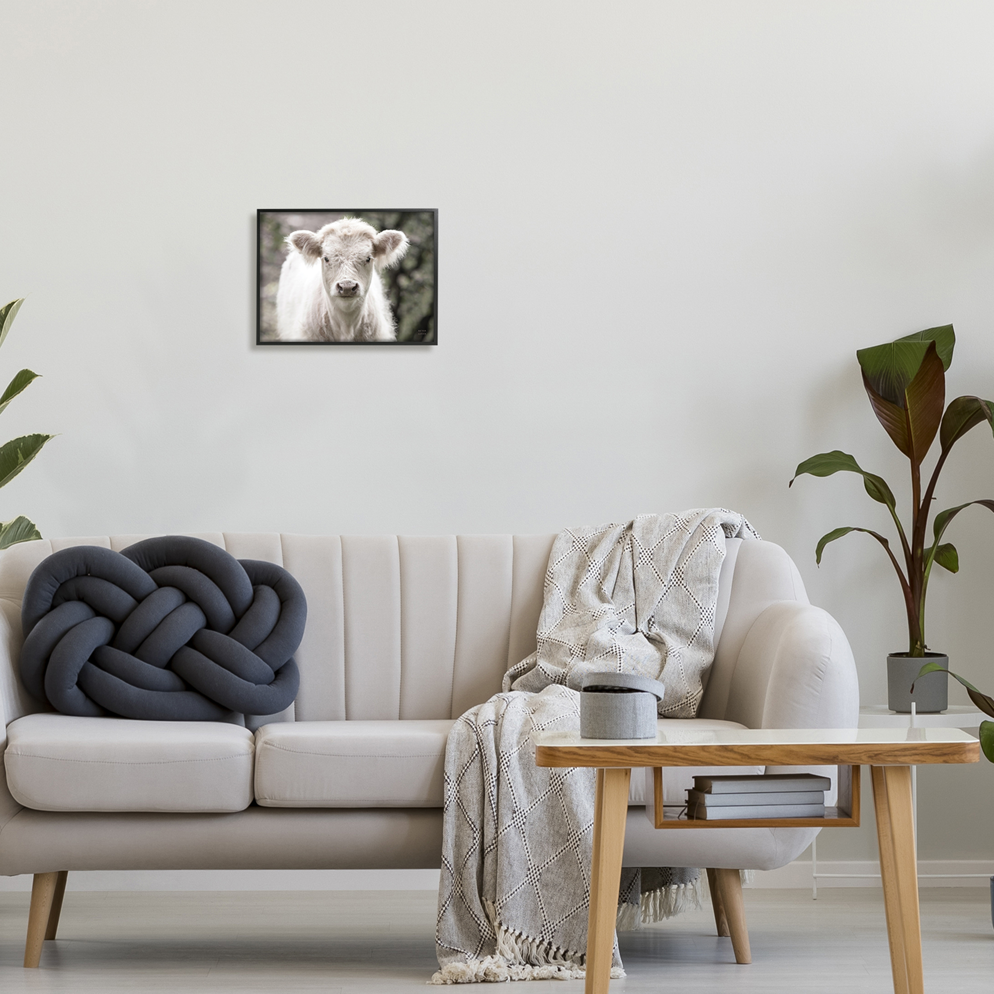 Stupell Industries White Cow Calf Portrait Animals & Insects Photography Black Framed Art Print Wall Art, 14 x 11