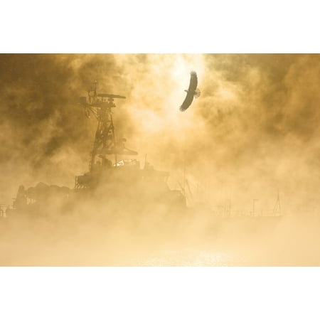 95 Ice Grey Vessels (Bald Eagle Soars Over Auke Bay Harbor With Ice Fog Obscuring Docked Vessel At Juneau Alaska Composite Canvas Art - John Hyde Design Pics (17 x)