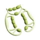 thumbnail image 3 of Rodillo de masaje de piernas y pantorrillas, herramienta ligera para masaje de piernas y músculos de muslos y pantorrillas, ideal para culturismo en Verde, 3 of 8