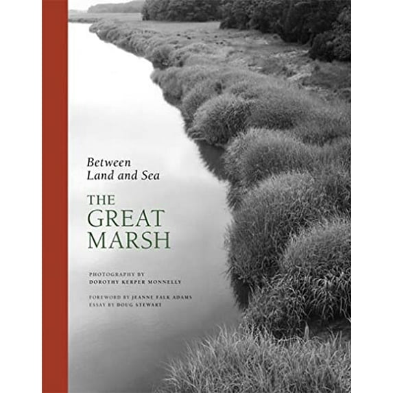 Pre-Owned Between Land and Sea: The Great Marsh (Hardcover) 0807615781 9780807615782