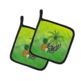 thumbnail image 1 of Carolines Treasures BB7456PTHD Été Profiter Paire de Porte-Pot, 1 of 1