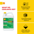 Shellzone Antifreeze and Engine Coolant, Concentrate, 1 Gallon