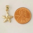 thumbnail image 2 of 14K Yellow Gold Starfish Pendant, 2 of 4