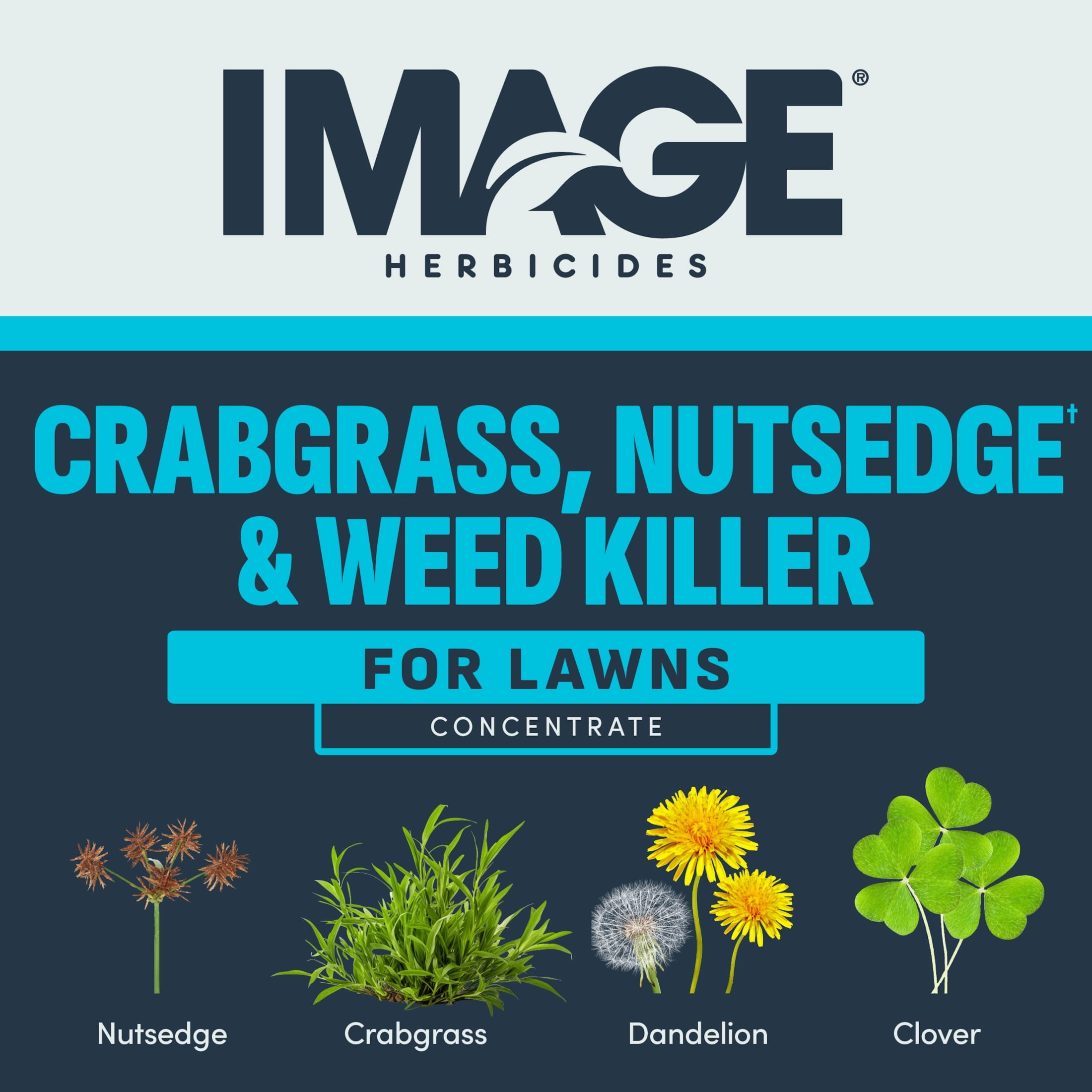 Image All-in-One Lawn Weed Killer Herbicide, 24 fl oz. Concentrate