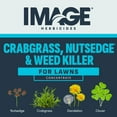 thumbnail image 5 of Image All-in-One Lawn Weed Killer Herbicide, 24 oz. Concentrate, 5 of 16
