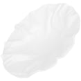 thumbnail image 1 of White Ceramic Plate for Home Use and Easy to Clean Perfect for Salad Dessert or Pasta 10.2 inches, 1 of 5