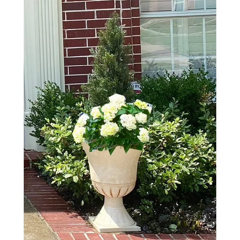 woven basket planter White/Beige Sisal Banana Fiber Woven Decorative Baskets – West Path main image 0