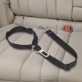 thumbnail image 4 of Cinturón de seguridad para coche para perros, correa ajustable para vehículo, Collar, accesorios para mascotas (negro), 4 of 7