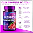 thumbnail image 5 of Cranberry Supplement Pills Extract from 25000mg - 3X Strength Concentrated Whole Fruit Cranberry with Vitamin C, Triple Strength for Cleanse & Urinary Tract Health Support, Sugar-Free - 120 Capsules, 5 of 7