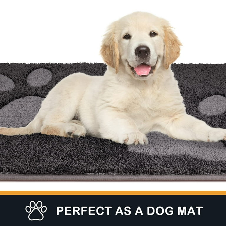 PURRUGS Dirt Trapper Door mat 20 x 31.5, Non-Skid/Slip Machine Washable  Microfiber Entryway Rug, Dog Door Mat, Super Absorbent Welcome mat for  Muddy