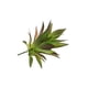 thumbnail image 5 of Billuyoard Suculentas artificiales respetuosas con la piel Belleza sin preocuparse por la irritación Planta artificial MM215 Otoño MM215 Otoño 2piezas, 5 of 6