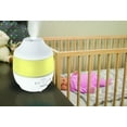 HoMedics Cool Mist Ultrasonic Humidifier with Essential Oil Tray and