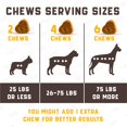 thumbnail image 4 of Suplementos multivitamínicos para perros Kinpur Pet Care 15 en 1, 4 of 6