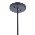 thumbnail image 2 of Craftmade Lighting - Perimeter - 1 Light Large Outdoor Pendant-21.75 Inches Tall, 2 of 9