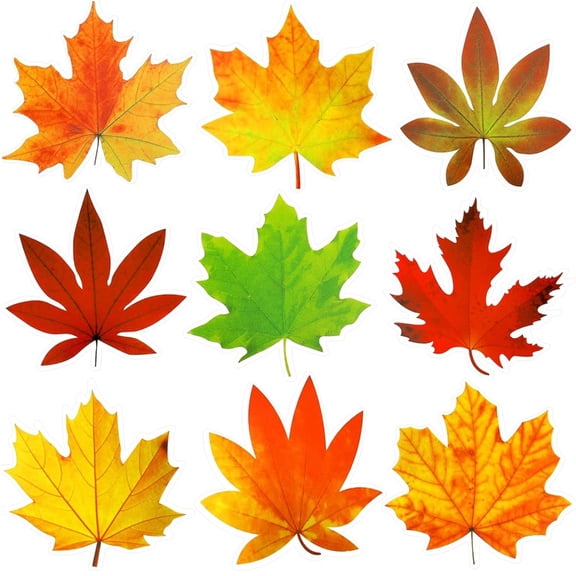 Fall Decorative Leaf Cutouts for Bulletin Boards Seasonal Classroom Office Paper Craft Friendly Design