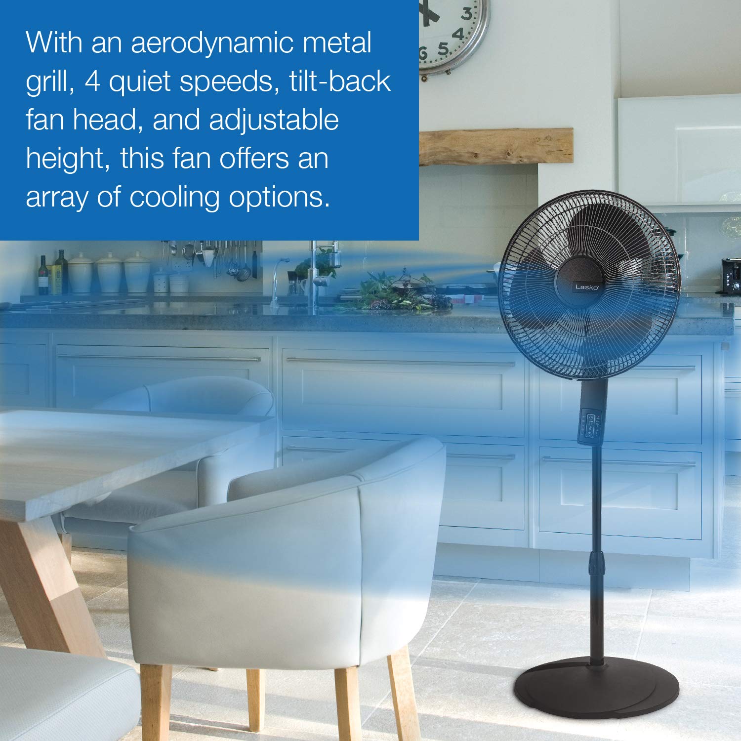 Lasko 16 4-Speed Oscillating Pedestal Fan with Remote Control, S16612,  Black - Walmart.com