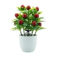thumbnail image 1 of Plantas en macetas artificiales mini planta falsa de fruta falsa planta en maceta planta de flores falsas, para la ventana de la oficina de la casa de Guindas, 1 of 8