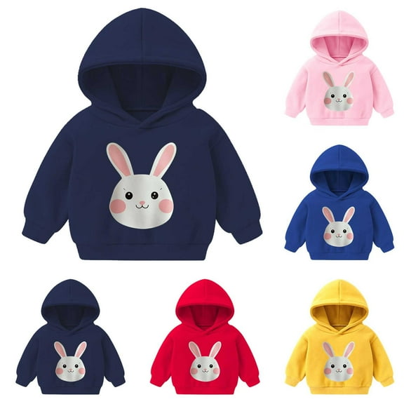 Frostluinai Cute Hoodies for Toddler Boy 2-7Y Little Girls Graphic Print Sweatshirts Fall Warm Pullover Tops Long Sleeve Casual Hoodies