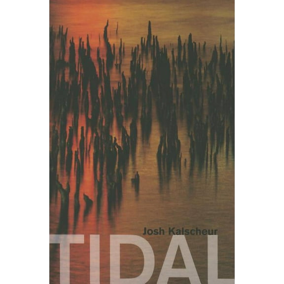 Tidal (Paperback)