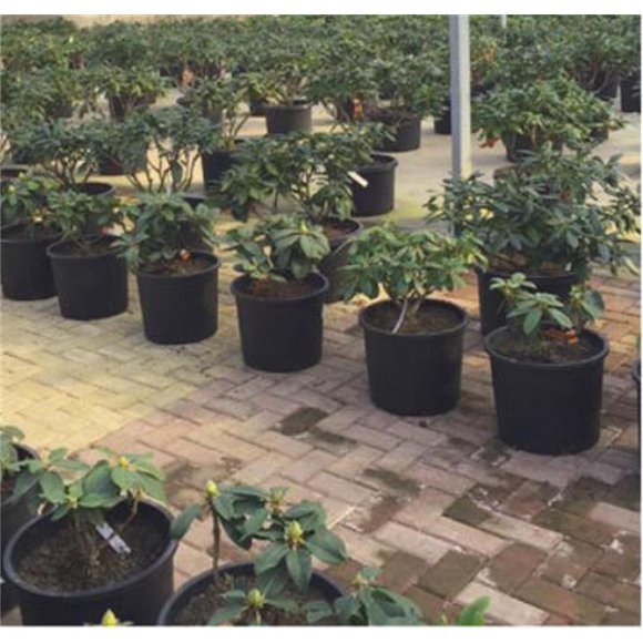 XIPYYKM 3 Gallon Nursery Pot Plastic for Outdoor Indoor Vegetation Gardening 3 Pack Flower Pots Pots with Holes Clearance Flower Pots