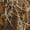 Realtree Edge, variant on Women's Endurance Jean Cut Pant with Agion Active XL