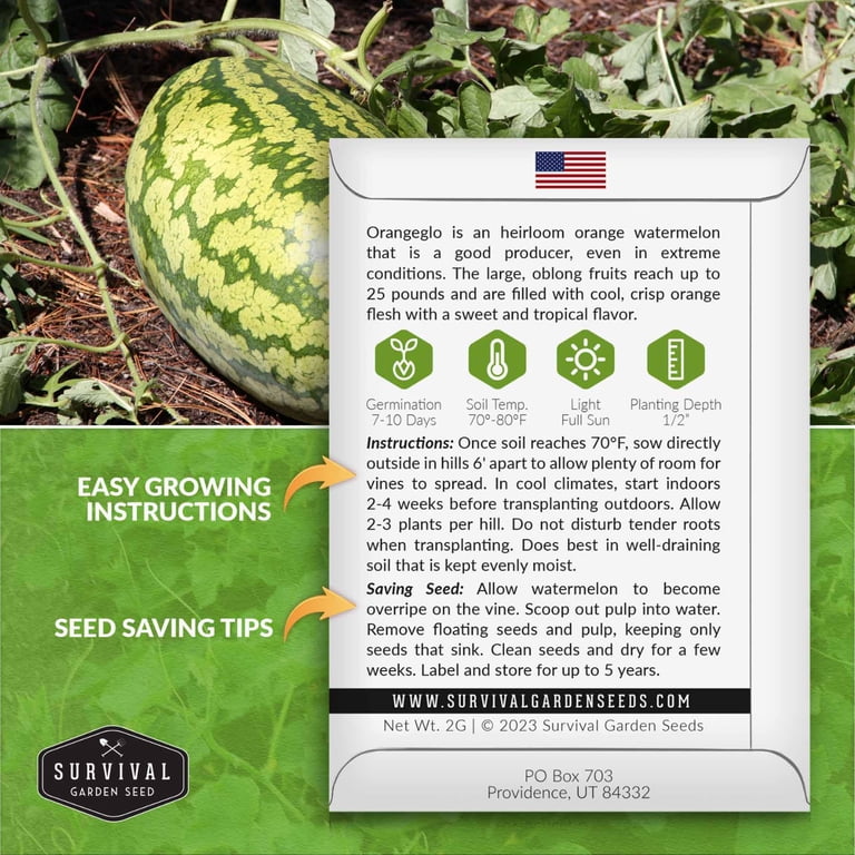 50+ Orangeglo Watermelon Seeds - Large, Sweet, 20-30 Lbs - NON-GMO - Very Easy To Grow