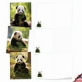 thumbnail image 5 of The Best Card Company 20 Assorted Blank Notecards Boxed Set 4 x 5.12 Inch with Envelopes (10 Designs, 2 Each) Panda Pups AM10041OCB-B2x10, 5 of 6